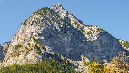 Montagne (sempre più) verdi? Lo sguardo attento di una rifugista e gli studi scientifici sulla scalata verso l’alto delle piante