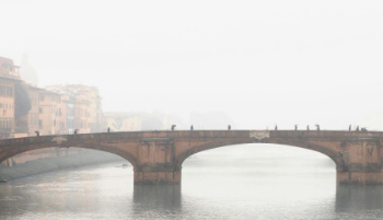 L’alluvione di Campi Bisenzio: un caso esemplare dei limiti dell’ingegneria tradizionale e delle potenzialità dell’ingegneria naturalistica