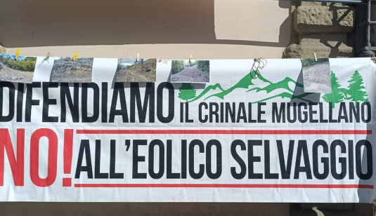 DOSSIER EOLICO Sempre più pale per catturare energia pulita. Ma si alza anche il vento della protesta La parola ai comitati. Il caso del Mugello, secondo l’architetta Silvia Ciucchi